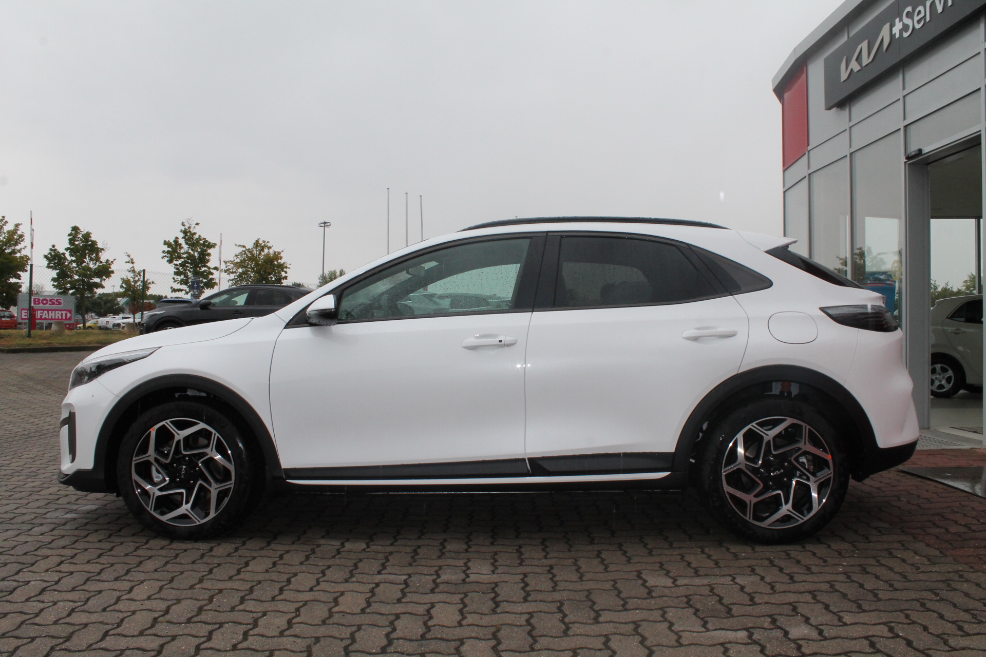 Fahrzeugabbildung Kia XCEED MY26 1.6 T-GDI GPF / GT-LINE / 180 PS / TOP ZUSTAND
