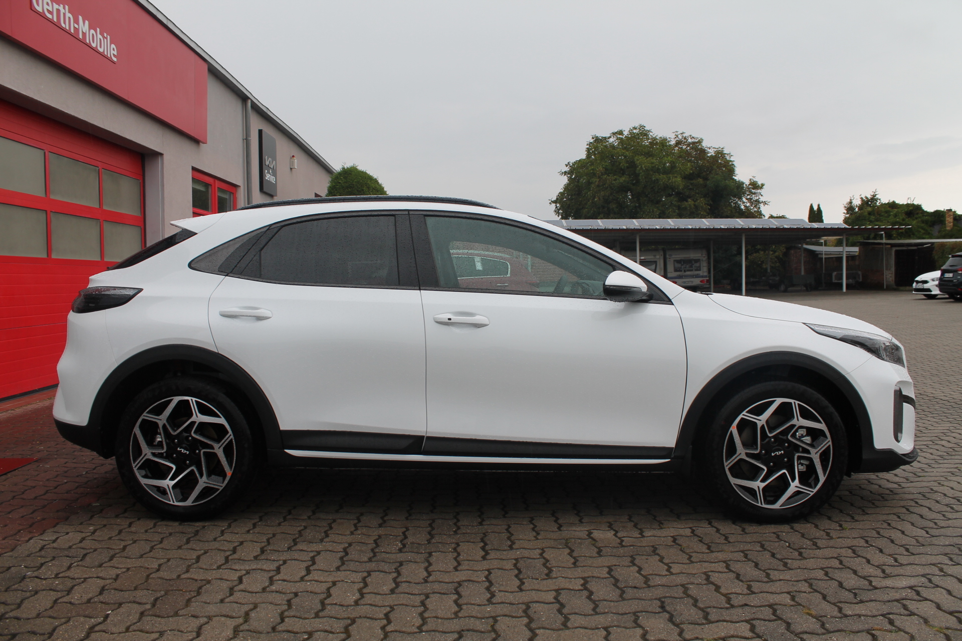 Fahrzeugabbildung Kia XCEED MY26 1.6 T-GDI GPF / GT-LINE / 180 PS / TOP ZUSTAND